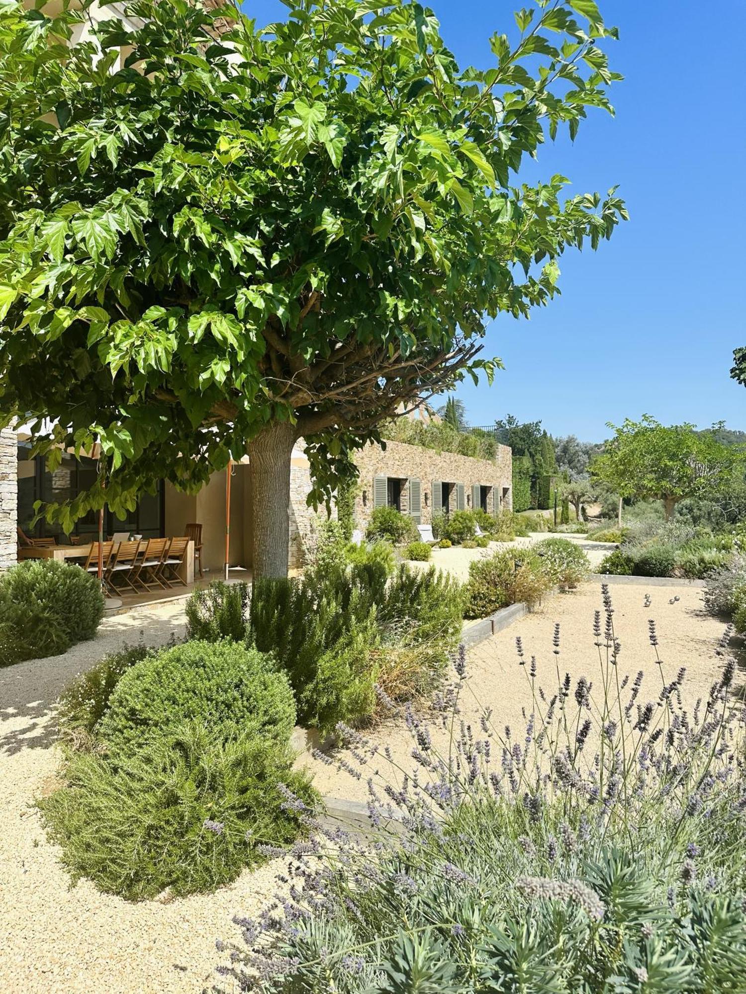 Le Mas Saint Michel Grimaud Bed & Breakfast Екстериор снимка